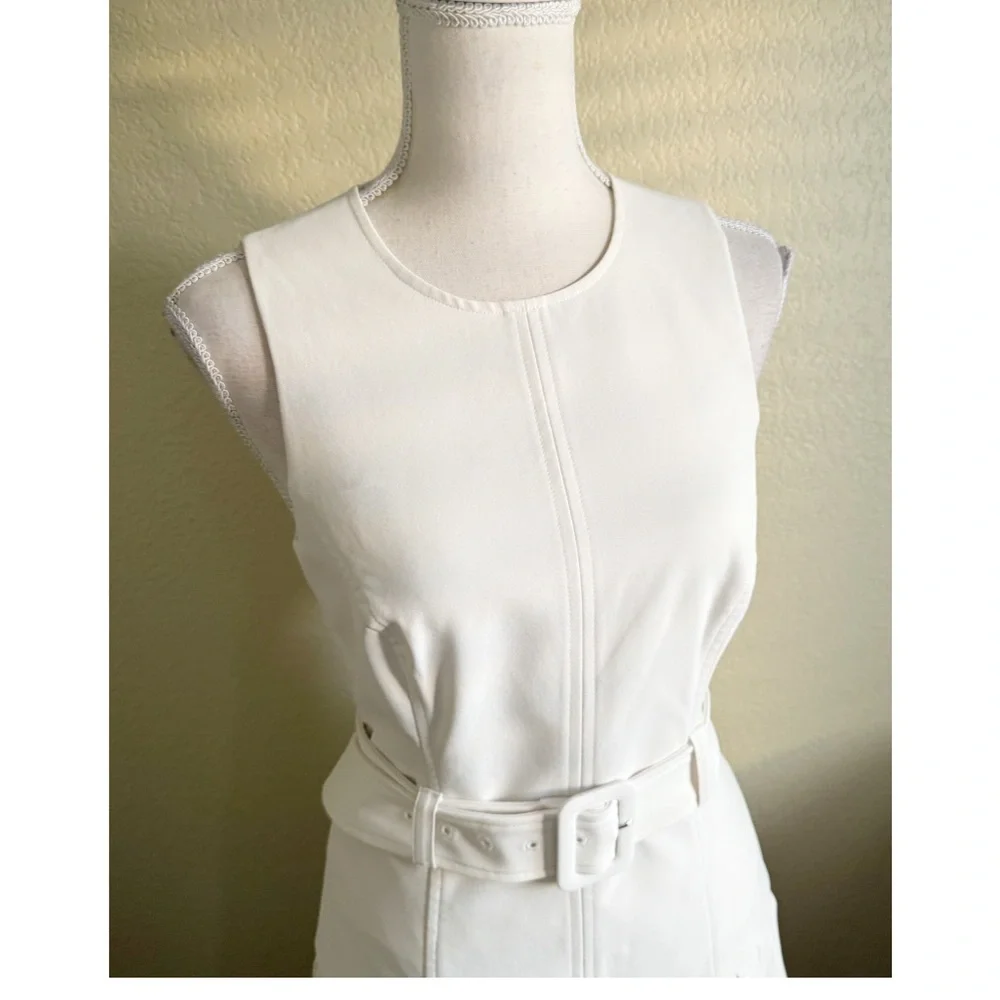 Cinq A Sept The Charolette Pleated Skirt Dress in Off White Size 4 - Picture 6 of 12